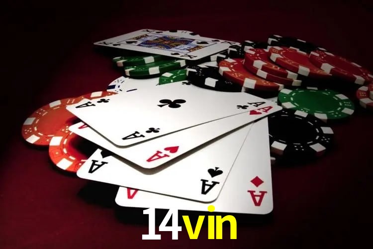 cassino 14vin